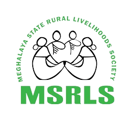 MSRLS